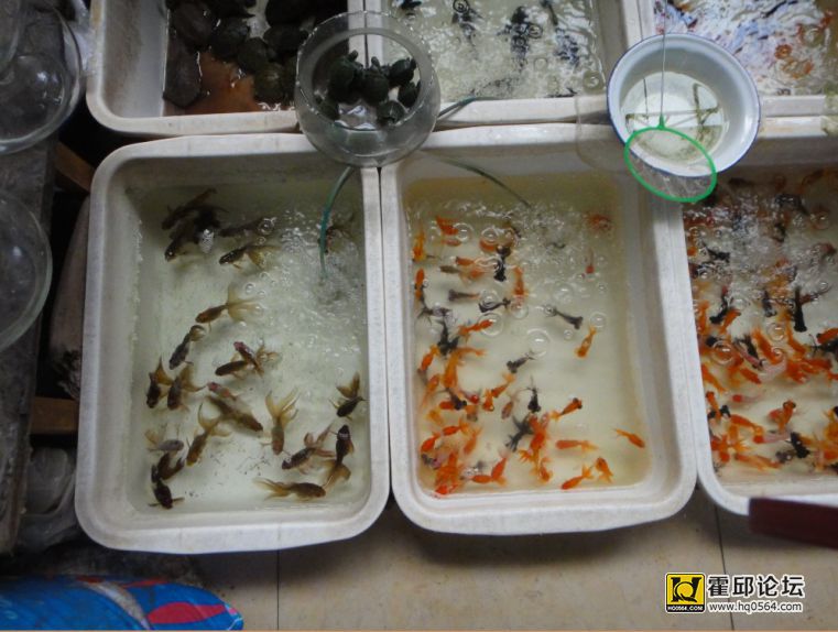 QQ��ͼ20131226121350.jpg