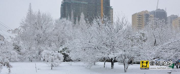 DSC_1390.jpg