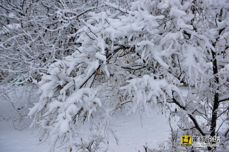 DSC_1400.jpg