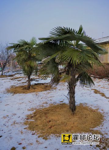 DSC_1326.jpg
