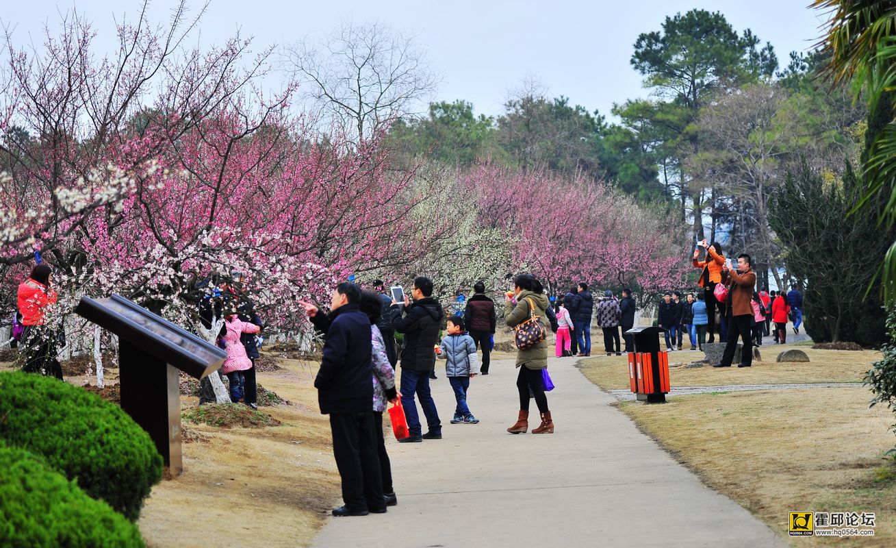 20140302 071.jpg
