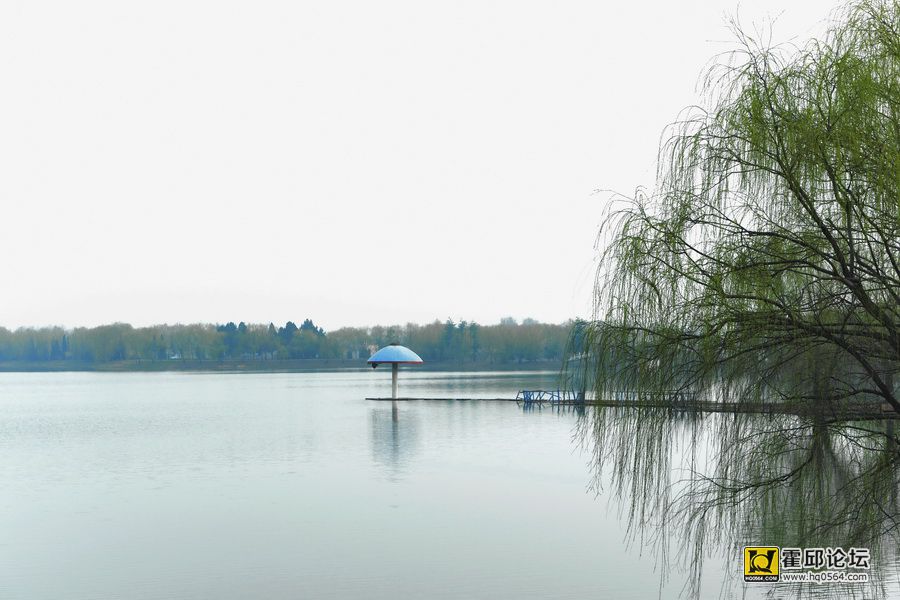 DSC_1830.jpg