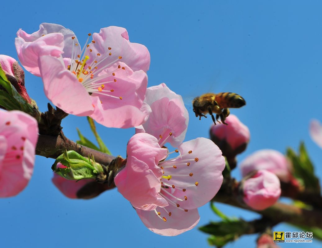 20140222 277.jpg