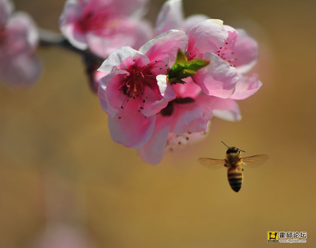 20140222 336.jpg