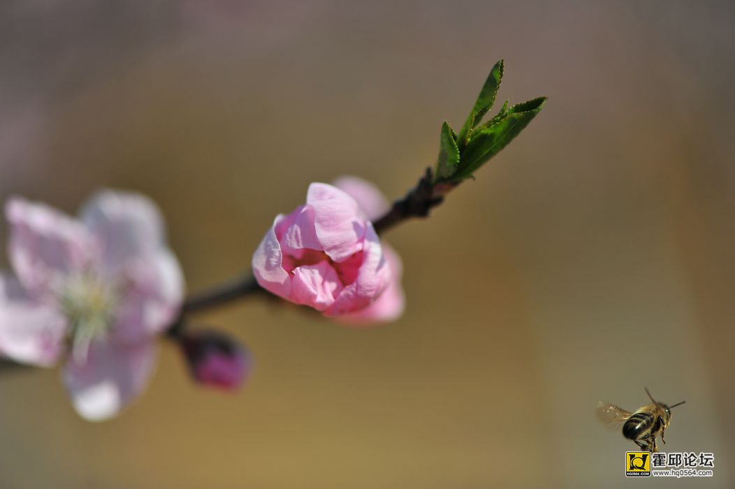 20140222 351.jpg
