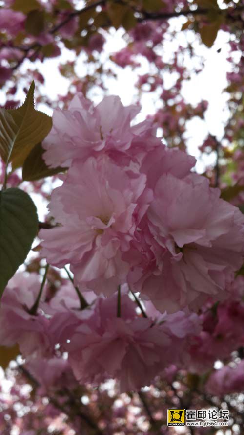 20140406_144632.jpg