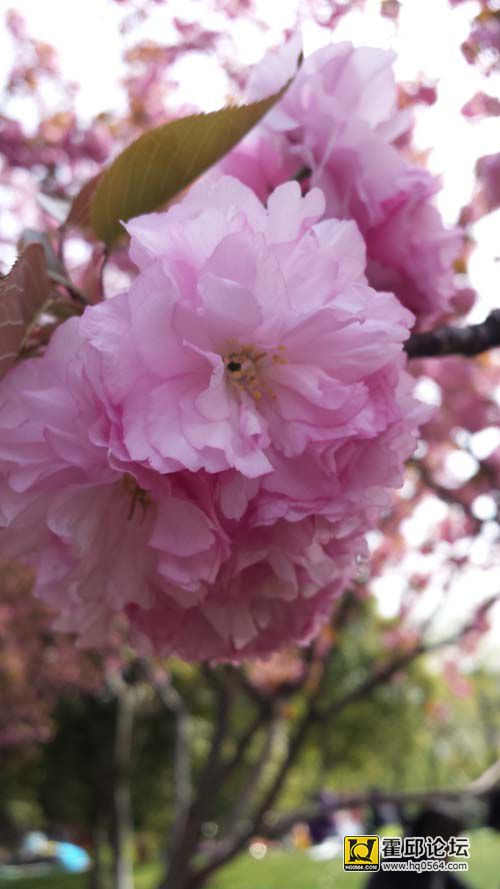 20140406_144759.jpg