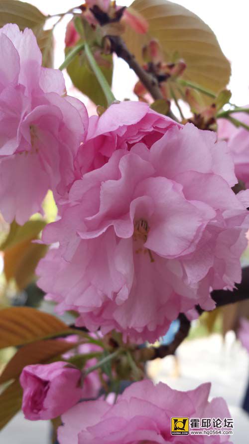 20140406_144649.jpg