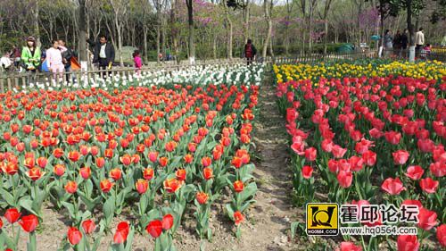 20140406_150647.jpg