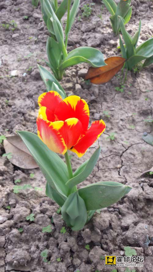 20140406_151204.jpg