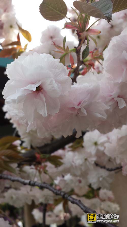 20140406_151702.jpg