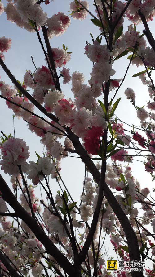 20140406_151800.jpg