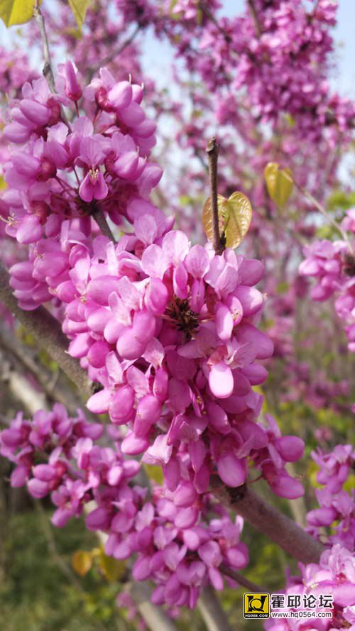 20140406_152657.jpg