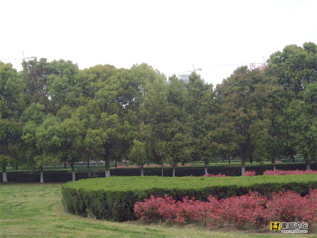 IMGP1926_��ͼ��.jpg