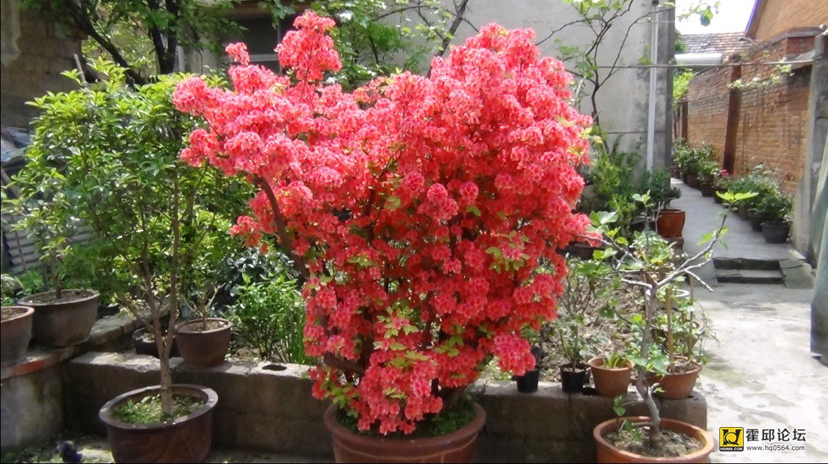 QQͼƬ20140410190911.jpg