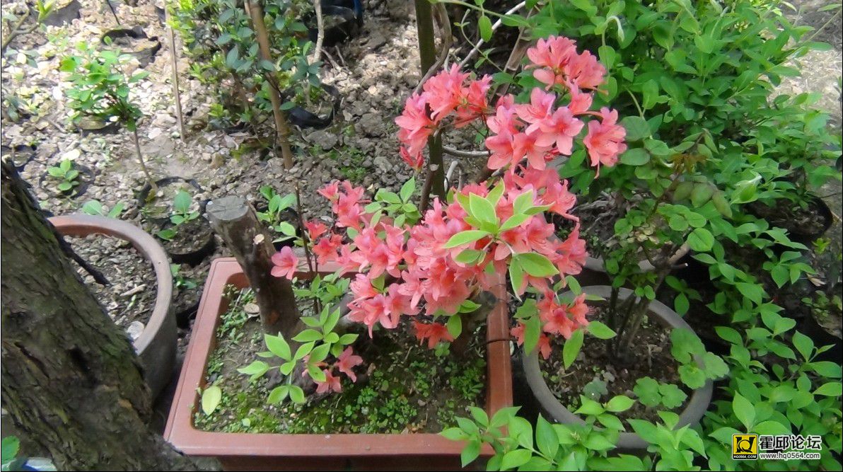 QQͼƬ20140410191027.jpg