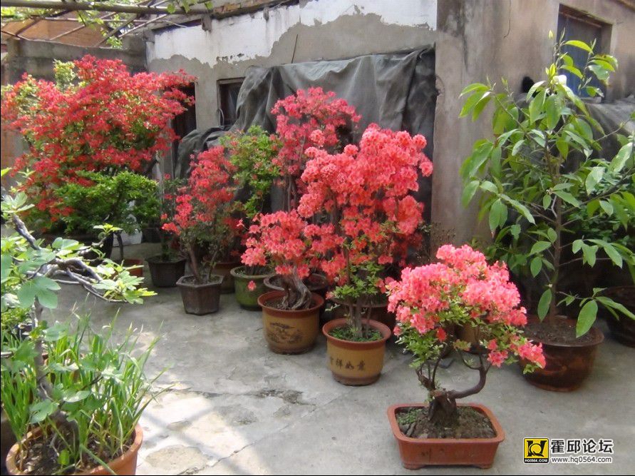 QQͼƬ20140410191045.jpg