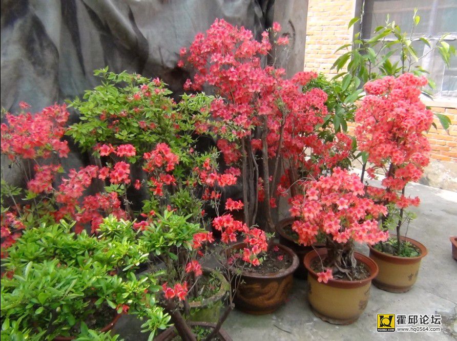 QQͼƬ20140410191126.jpg