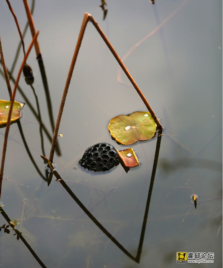 2H4A1117.jpg