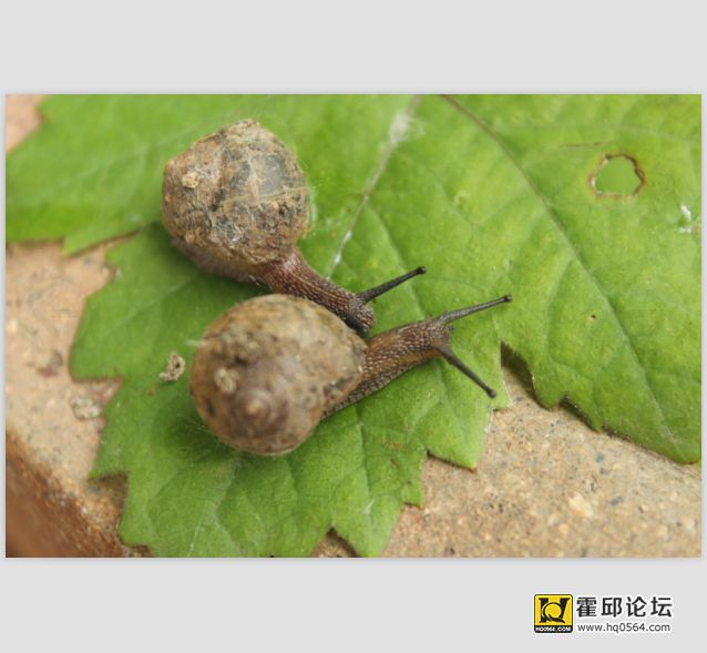 QQ��ͼ20140524095254.jpg