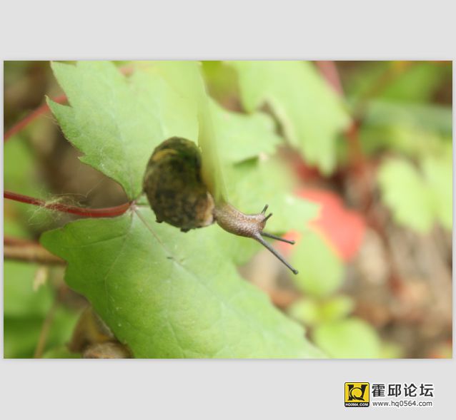 QQ��ͼ20140524095323.jpg