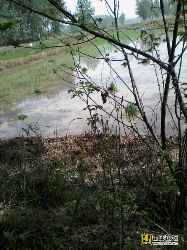QQͼƬ20140528100634.jpg