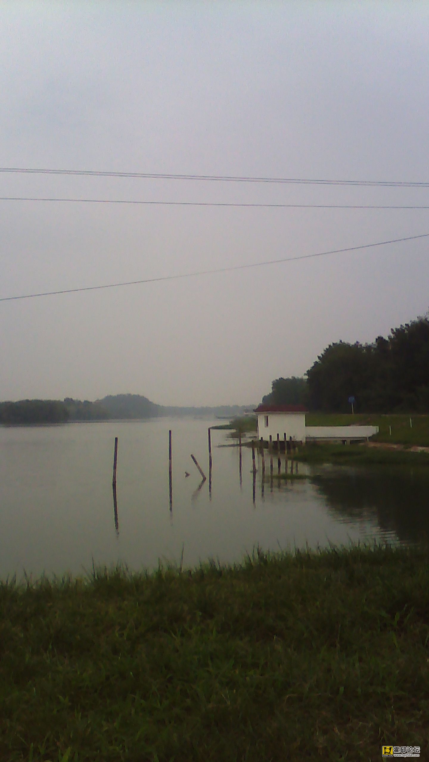 IMG_20140718_132941.jpg