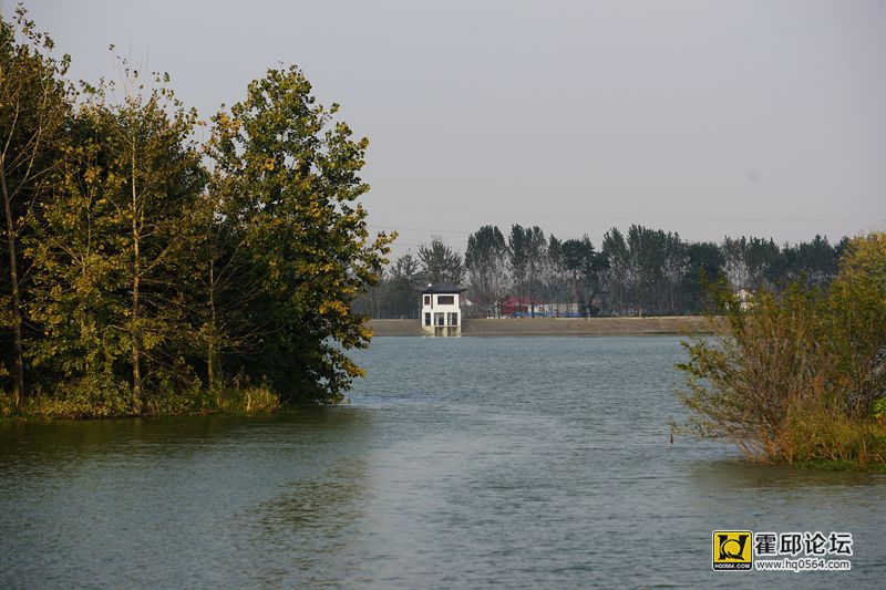 DSC03868.JPG