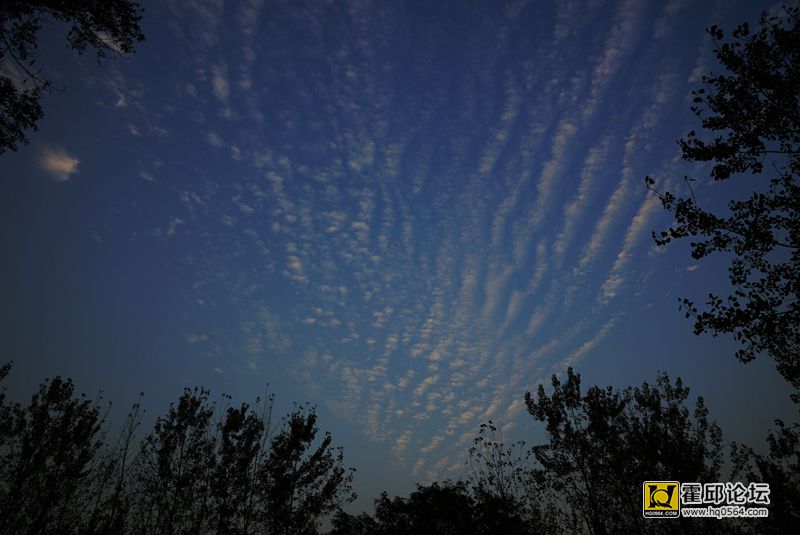 DSC05061_����.jpg