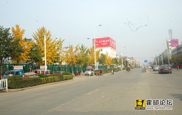 9099.jpg