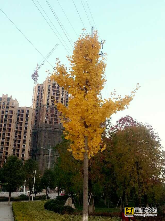 QQͼƬ20141118174409.jpg