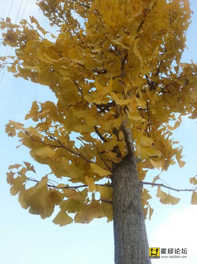 QQͼƬ20141118174414.jpg