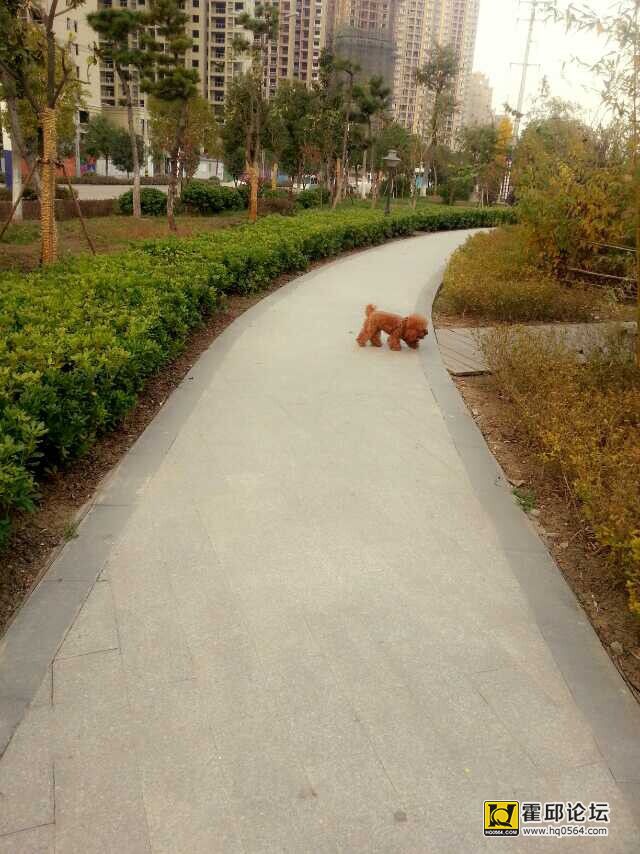 QQͼƬ20141118174424.jpg