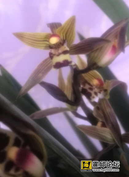 [T0OVHE373I6KXV2UIA[JJW.png