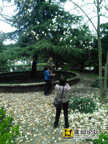 IMG_20150320_125848.jpg