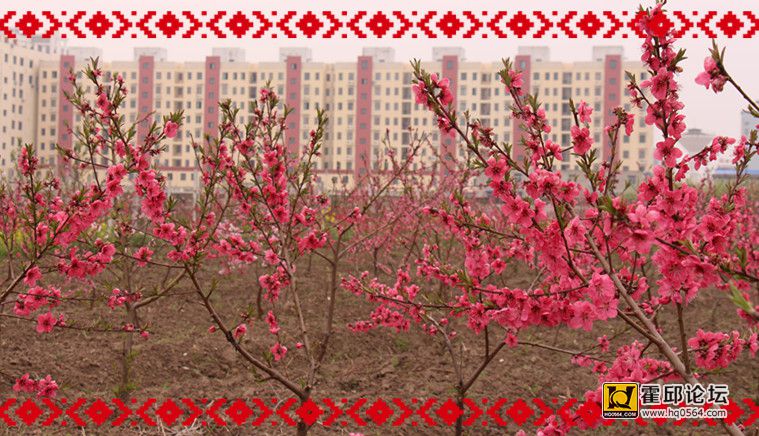 IMG_4815_����.jpg