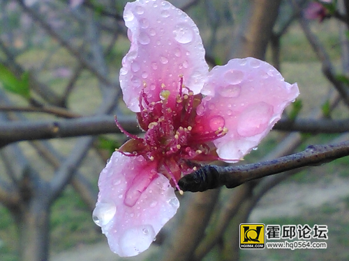 IMG_20150328_180506.jpg