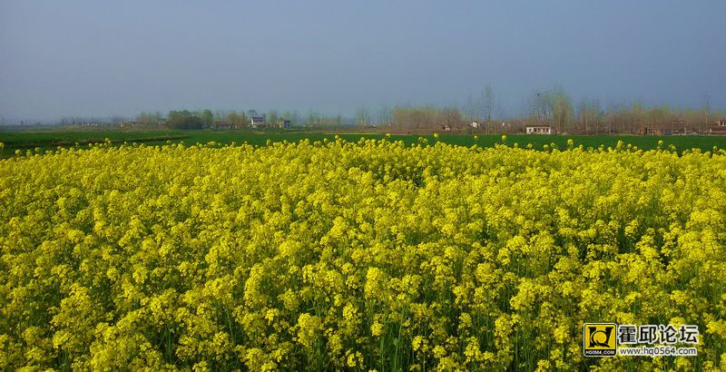 20150328_163927.jpg