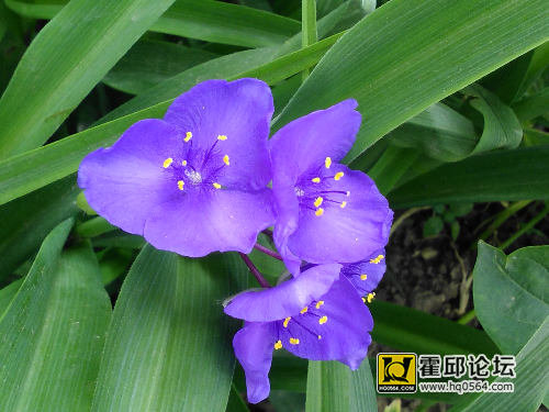 IMG_20150505_121827.jpg