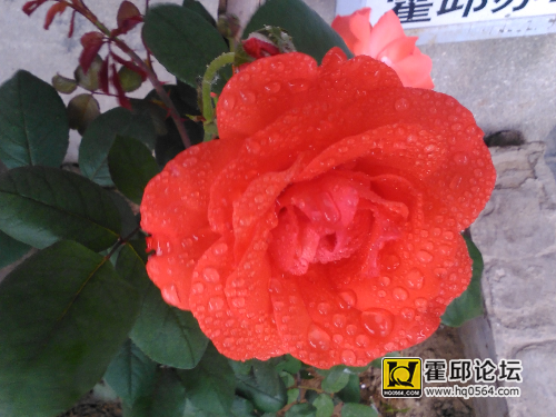 IMG_20150508_070423.jpg