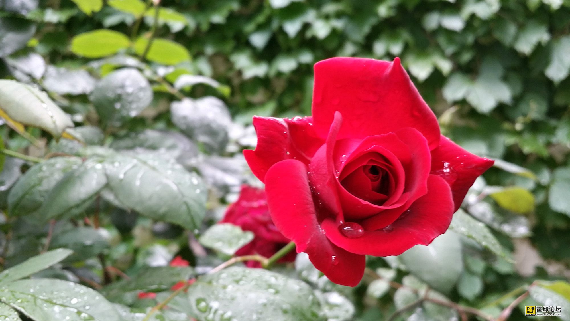 20150502_120827_Richtone(HDR).jpg