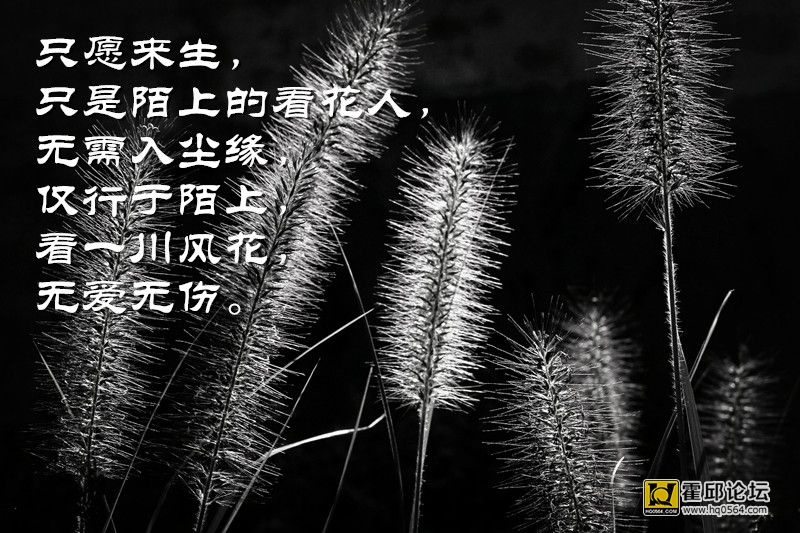 �ް�����3.jpg