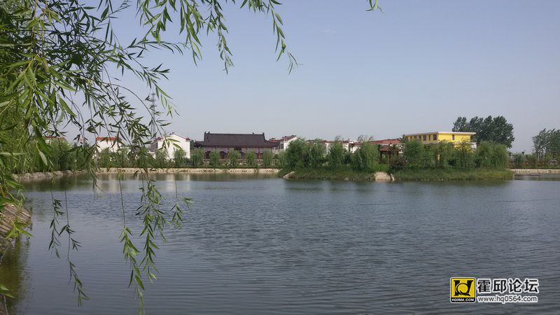 484.jpg