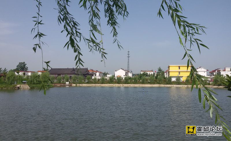 487.jpg