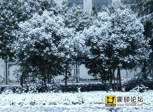 IMG_20151125_091035.jpg