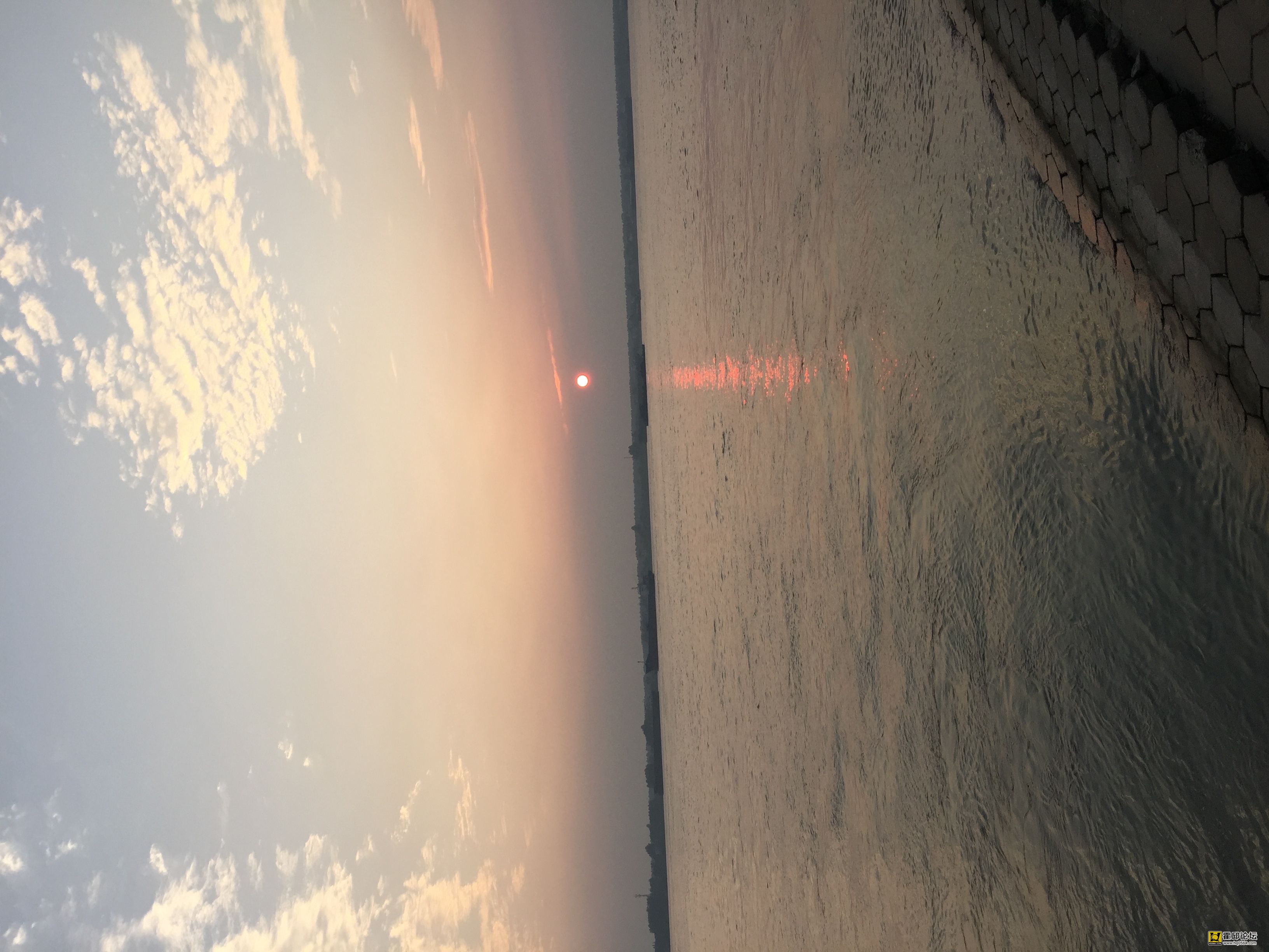 image.jpeg