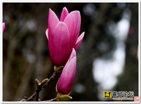 _MG_0004.JPG