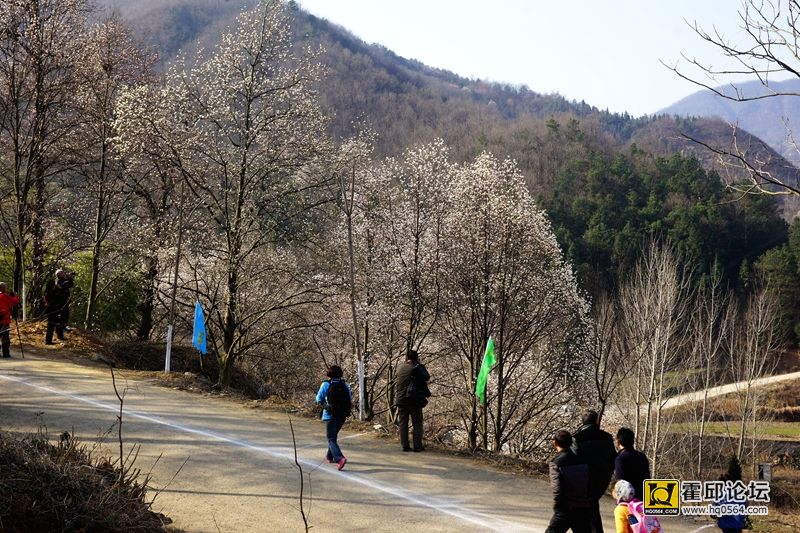 DSC07092.JPG