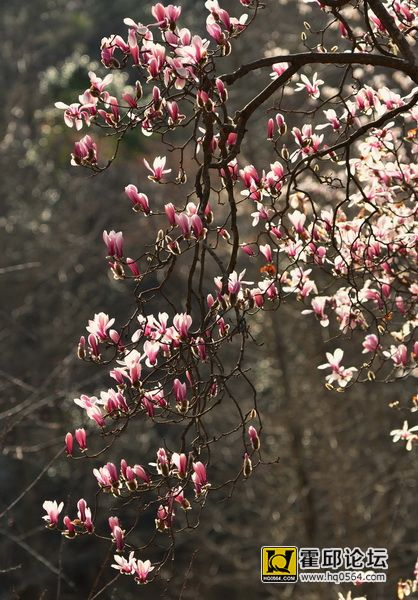DSC_8162.JPG