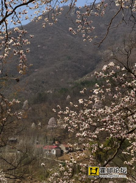 DSC_8330.JPG